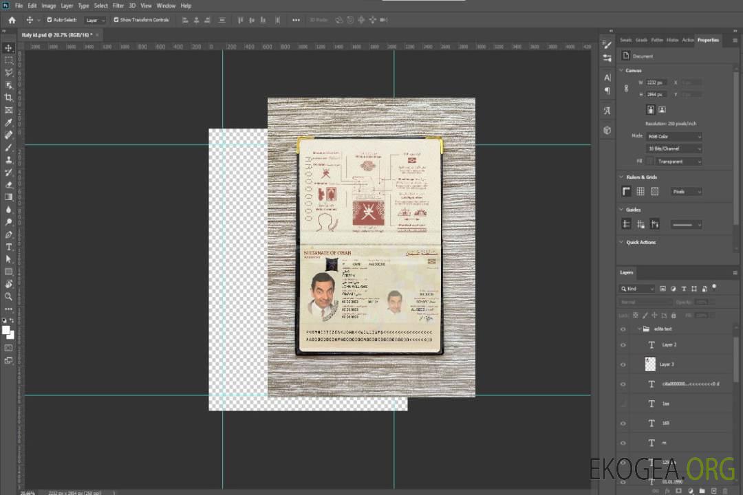 Aperçu de la photo du passeport d'Oman (2014-présent) template